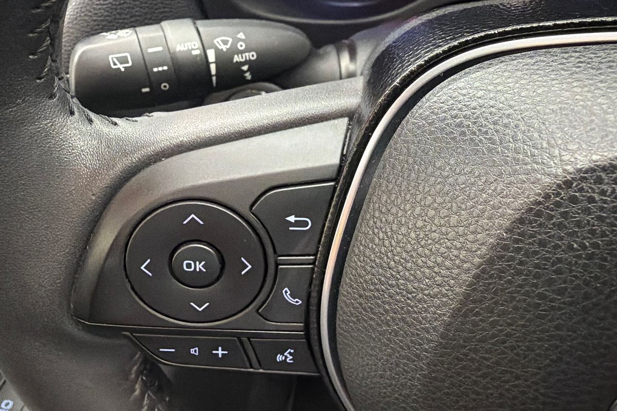 2020 Toyota RAV4 Cruiser AXAH52R