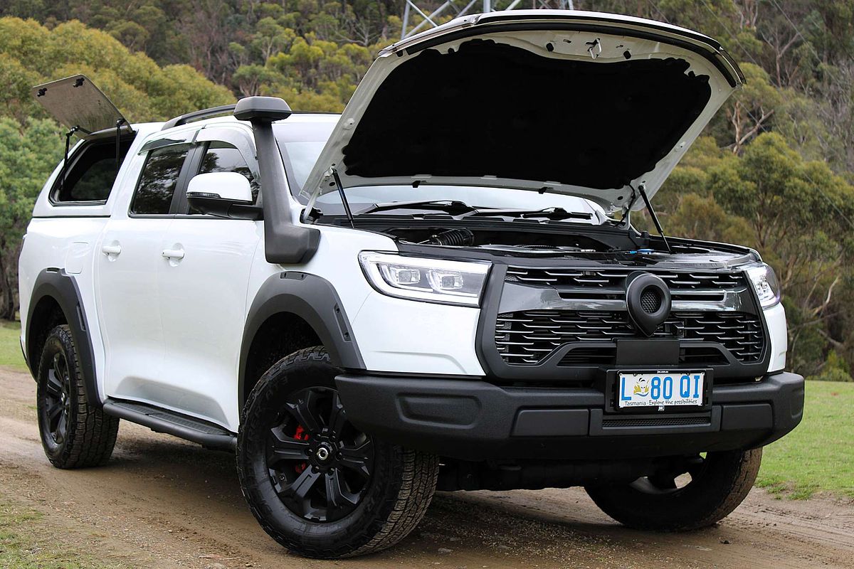 2024 GWM Ute Cannon XSR NPW 4X4