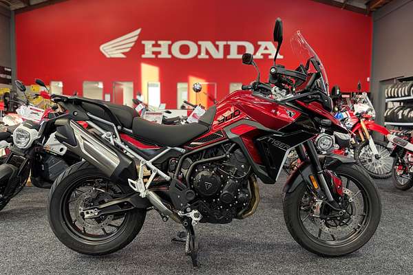 2024 Triumph TIGER 900 GT PRO