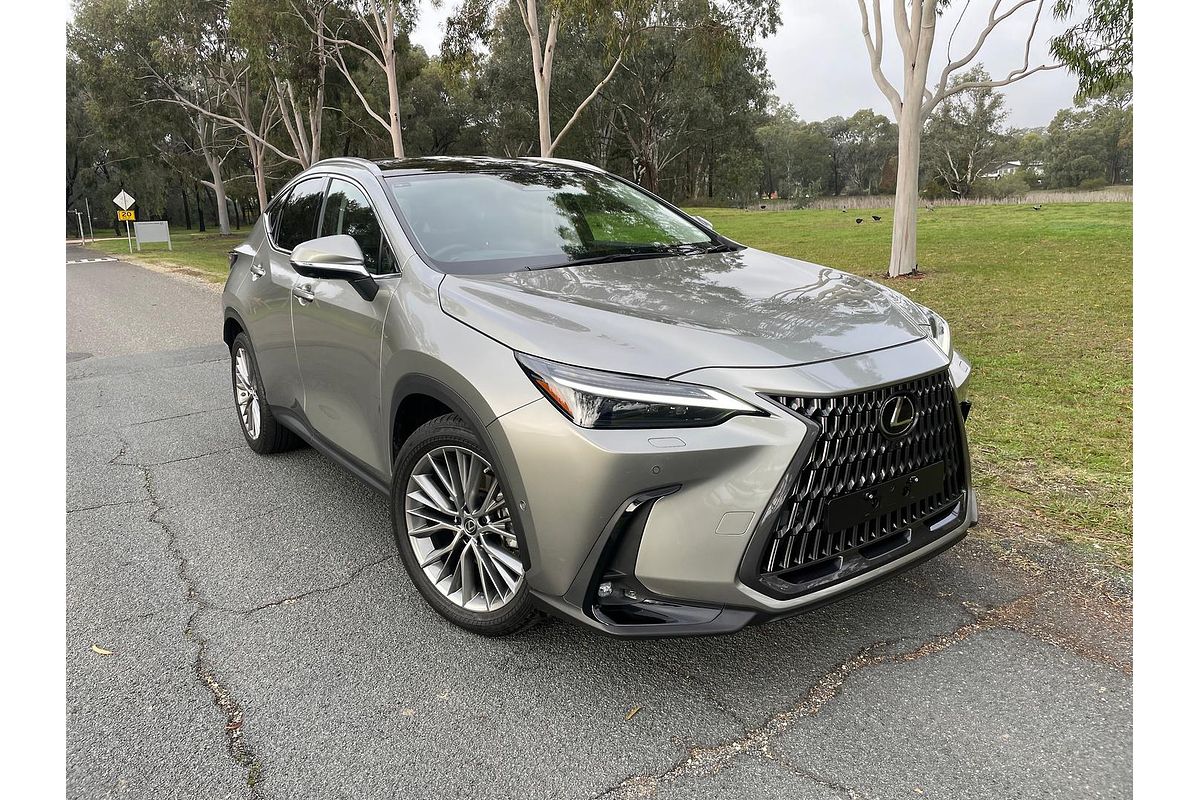 2022 Lexus NX NX350h Sports Luxury AAZH25R