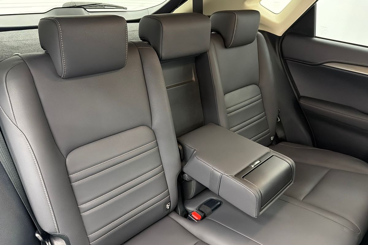 2020 Lexus NX NX300 Luxury AGZ10R