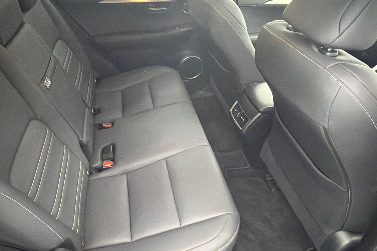 2020 Lexus NX NX300 Luxury AGZ10R