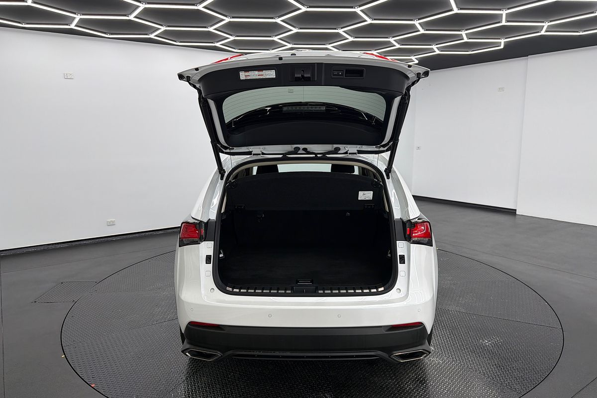 2020 Lexus NX NX300 Luxury AGZ10R