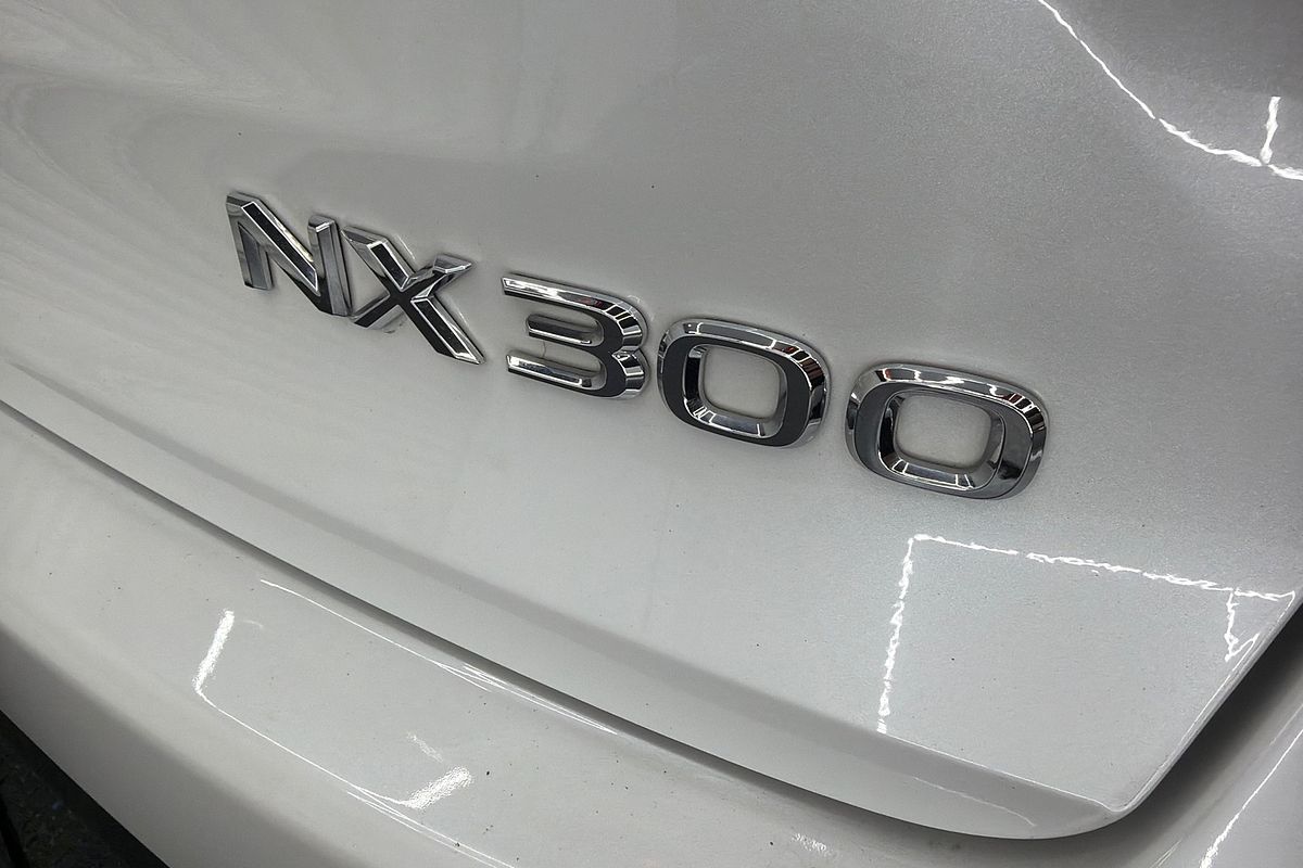 2020 Lexus NX NX300 Luxury AGZ10R