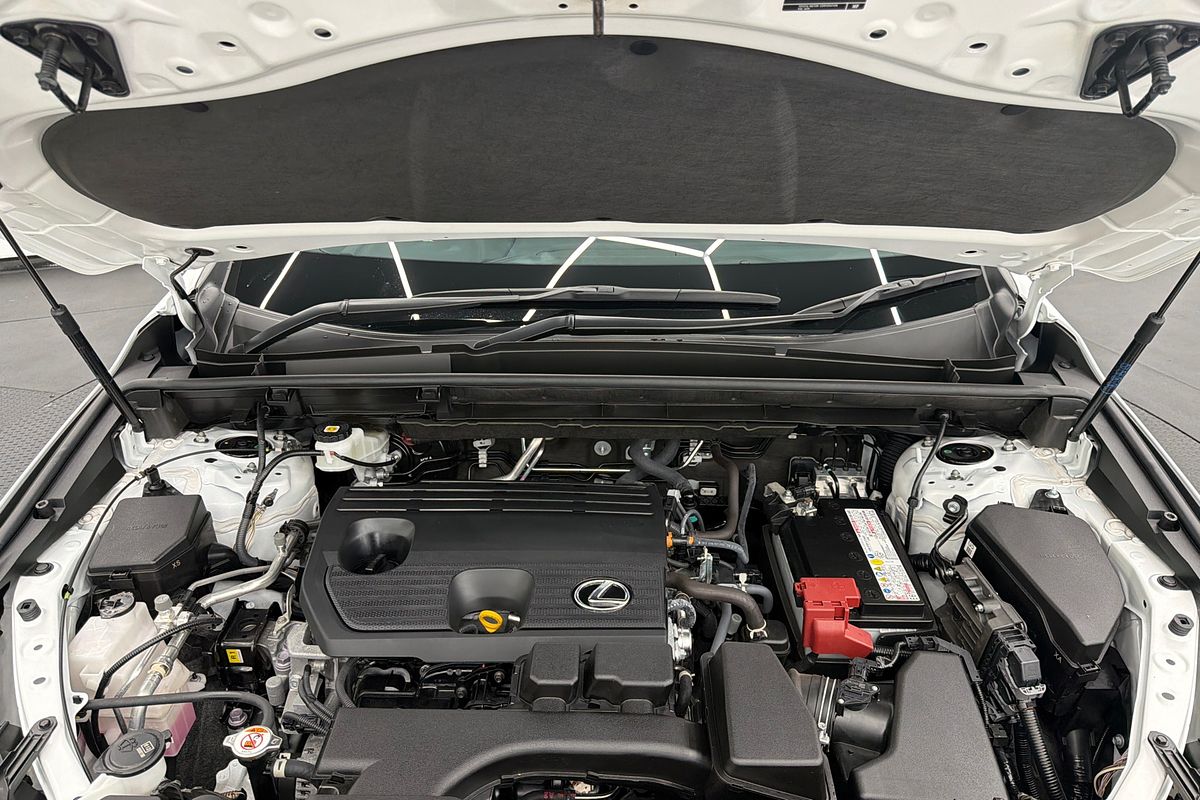 2023 Lexus NX NX250 AAZA20R