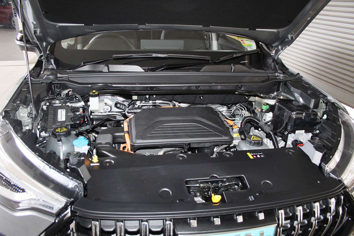 Jolion Pro Luxury Auto 4x2 Hybrid