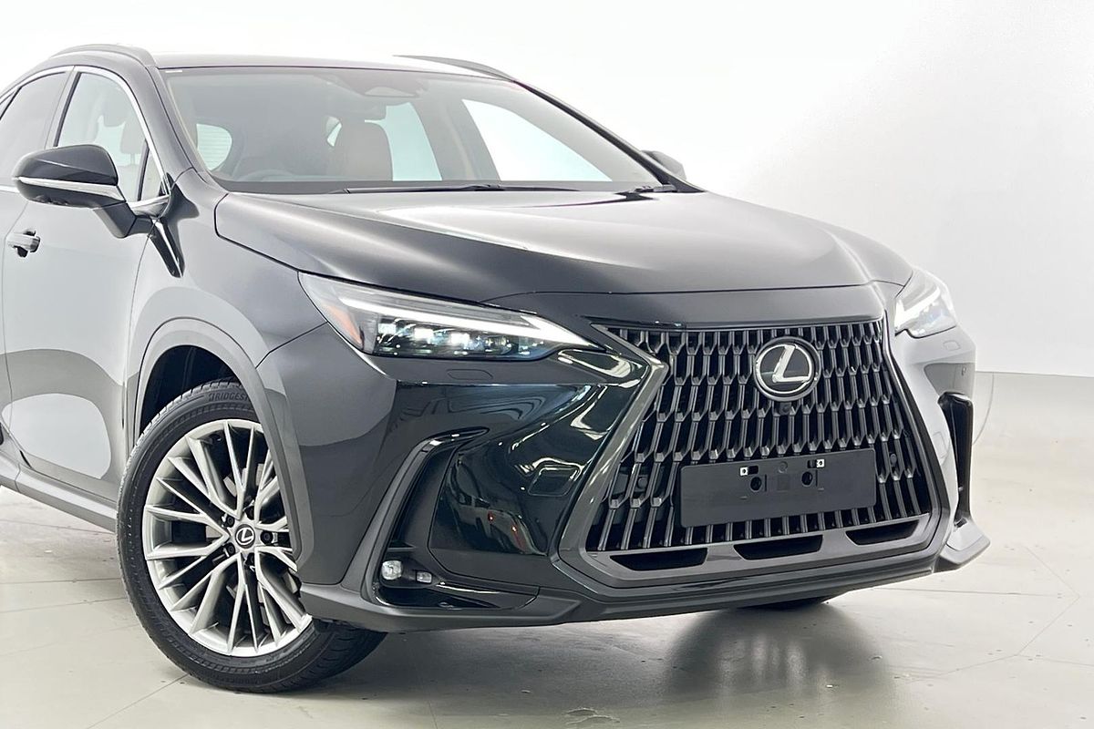 2025 Lexus NX NX350h Sports Luxury AAZH20R