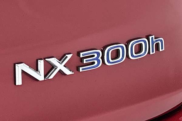 2017 Lexus NX NX300h Sports Luxury AYZ15R thumb-21