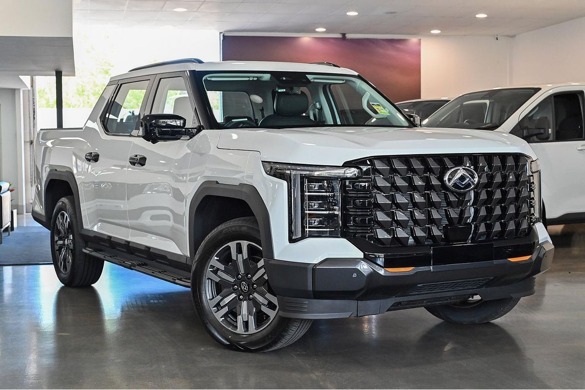 2025 LDV Terron 9 Evolve EKK1C 4X4