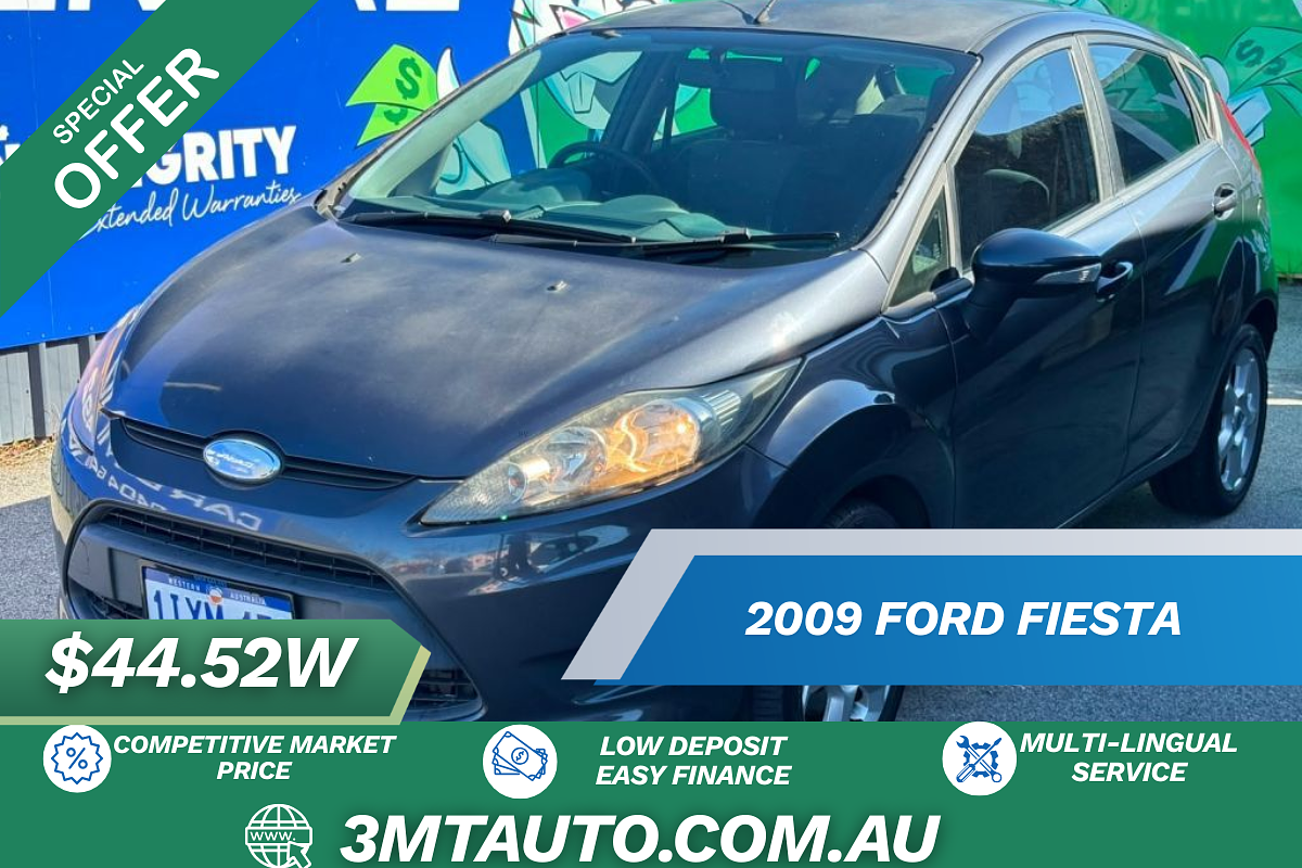 2009 Ford Fiesta LX WS