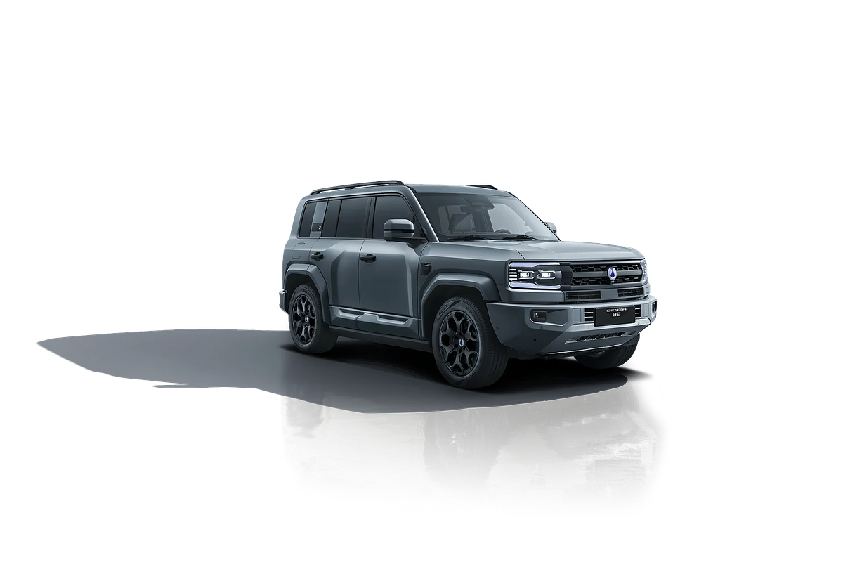 2025 DENZA B5 Leopard