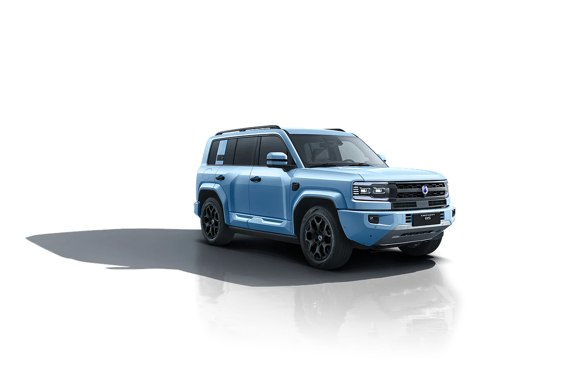 2025 DENZA B5 Leopard