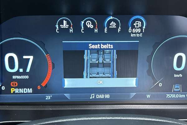2023 Ford Everest Platinum 3.0L thumb-13