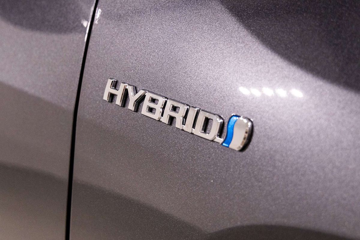 2020 Toyota RAV4 Cruiser AXAH52R