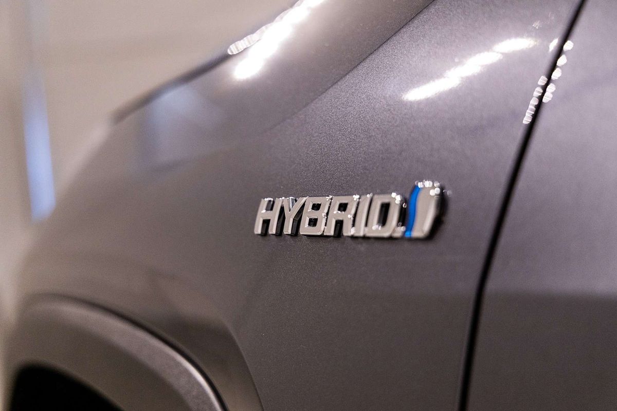 2020 Toyota RAV4 Cruiser AXAH52R