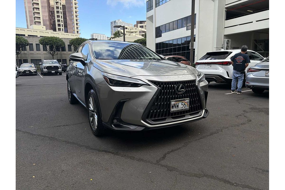 2022 Lexus NX Luxury