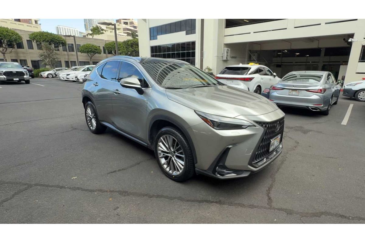 2022 Lexus NX Luxury