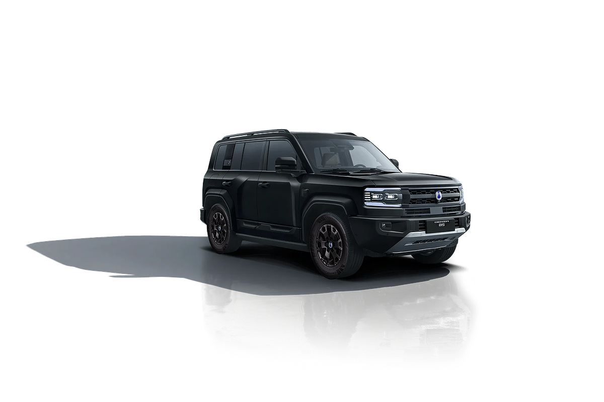 2025 DENZA B5