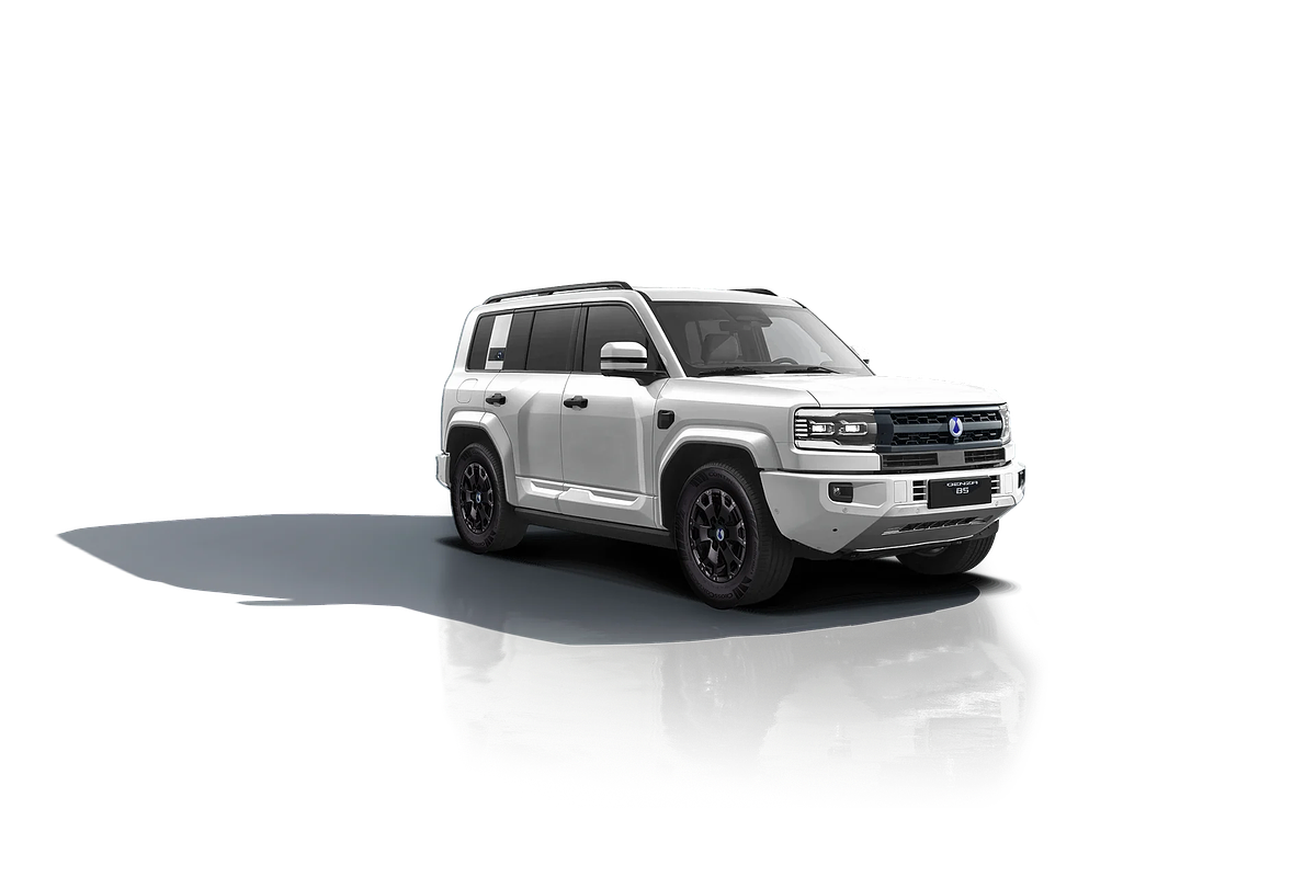 2026 DENZA B5 Leopard