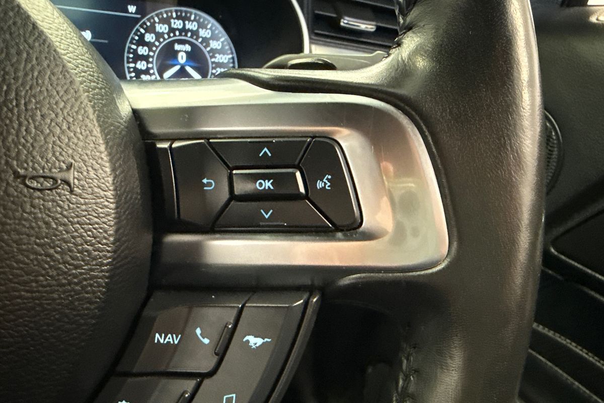 2019 Ford Mustang GT FN