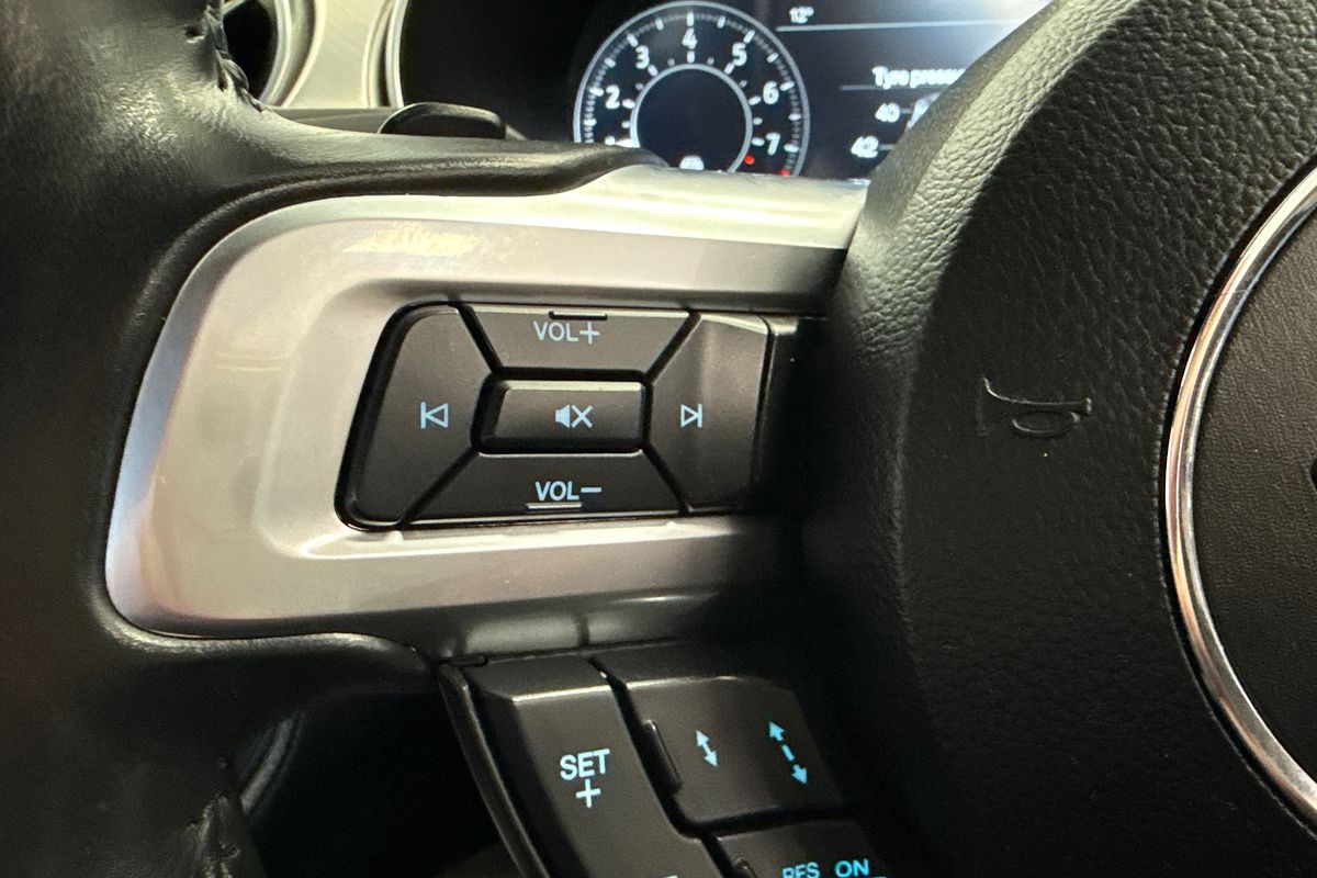 2019 Ford Mustang GT FN