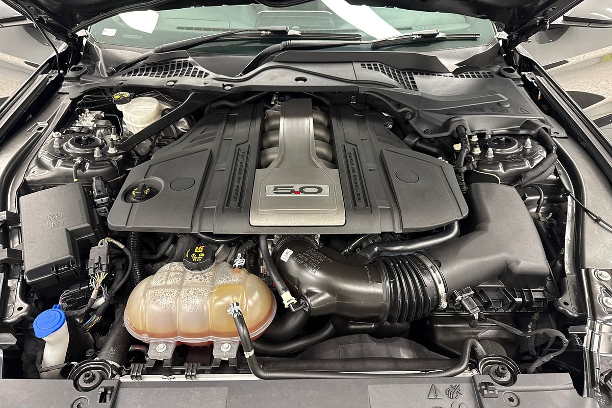 2019 Ford Mustang GT FN