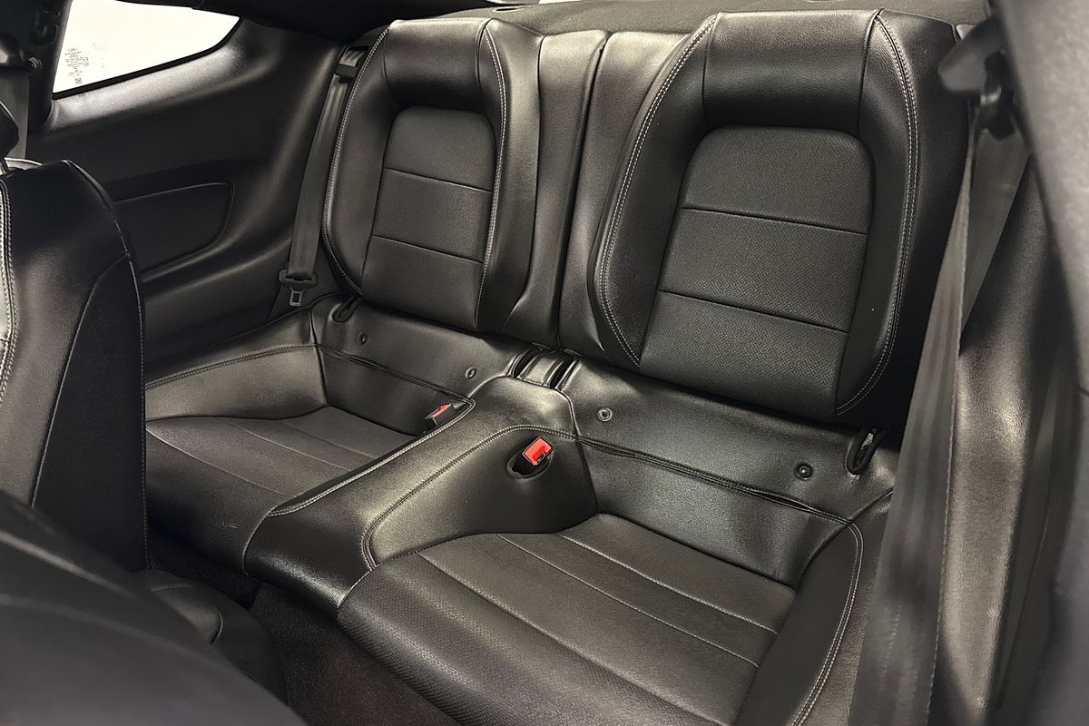 2019 Ford Mustang GT FN