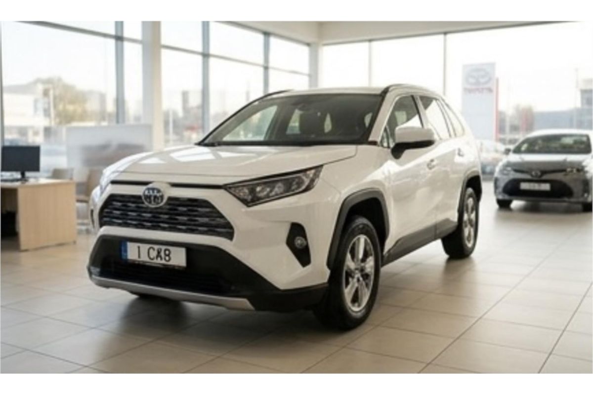 2019 Toyota RAV4 GX AXAH52R
