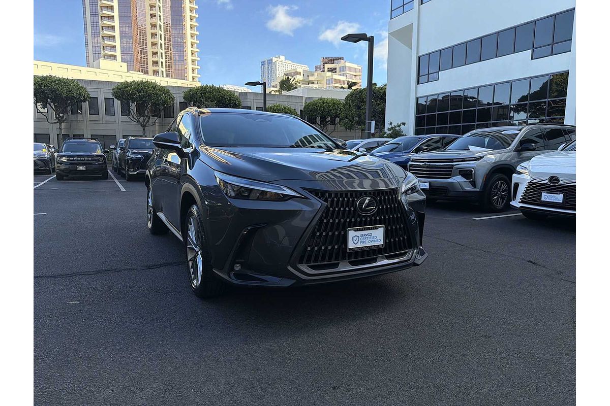 2022 Lexus NX Luxury