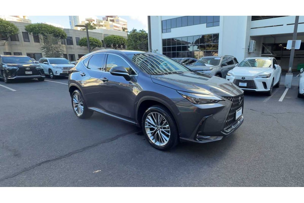 2022 Lexus NX Luxury