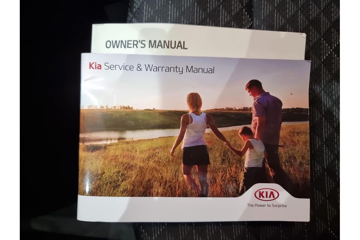 2017 Kia Rio S YB