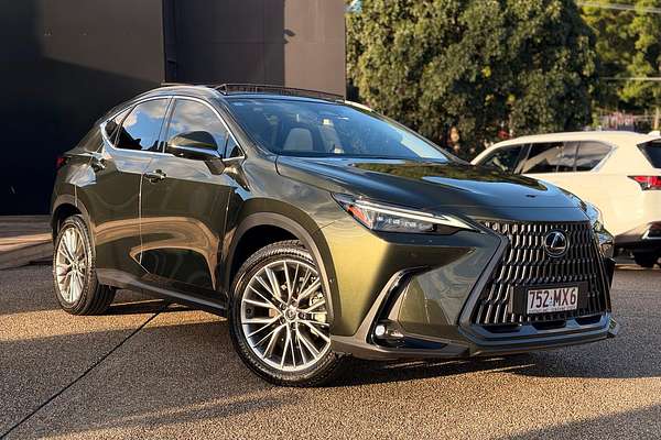 2024 Lexus NX NX350h Sports Luxury AAZH25R