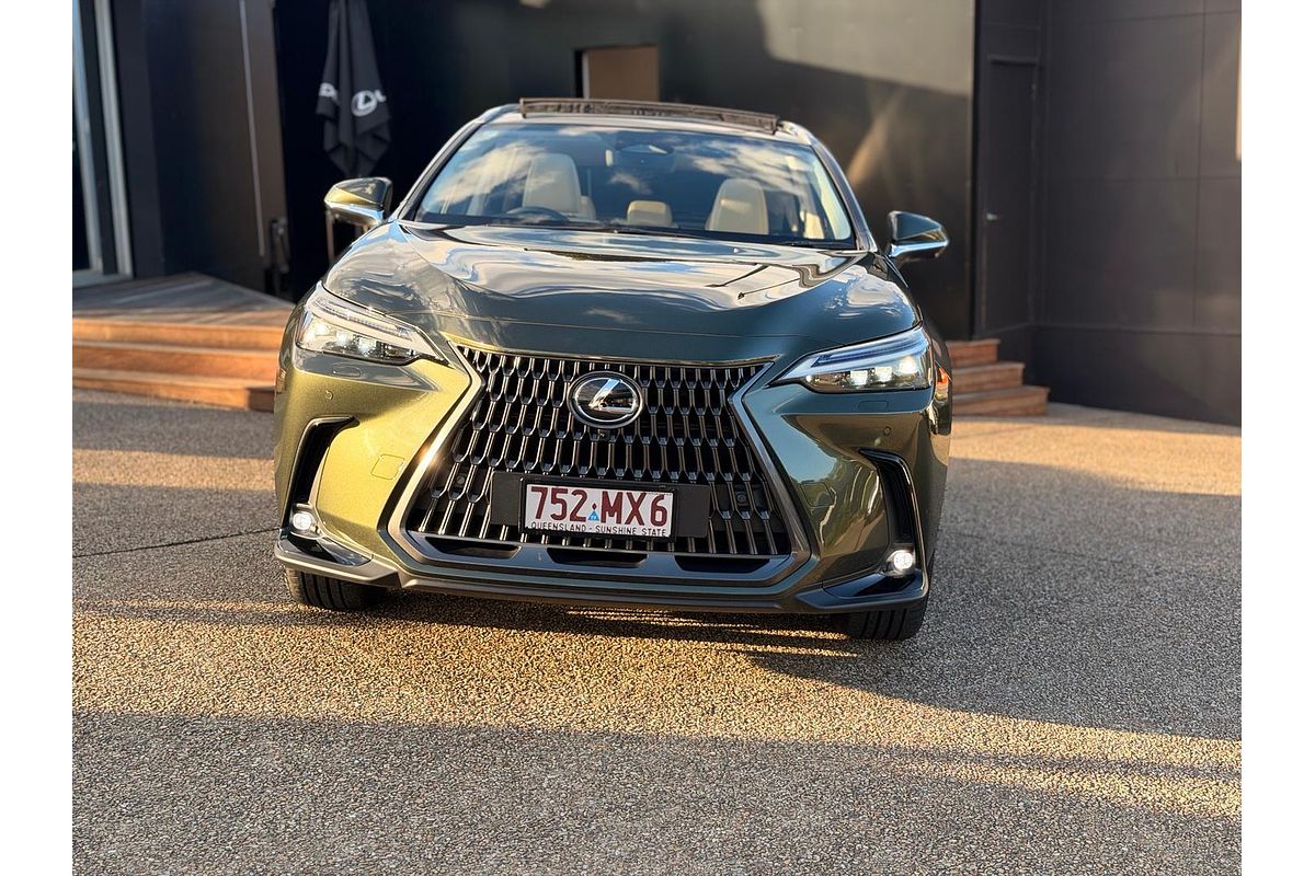2024 Lexus NX NX350h Sports Luxury AAZH25R