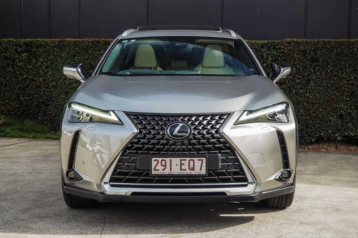 2019 Lexus UX UX200 Sport Luxury MZAA10R