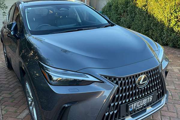 2024 Lexus NX NX350h Sports Luxury AAZH25R