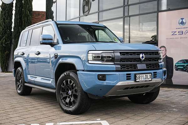 2025 DENZA B5