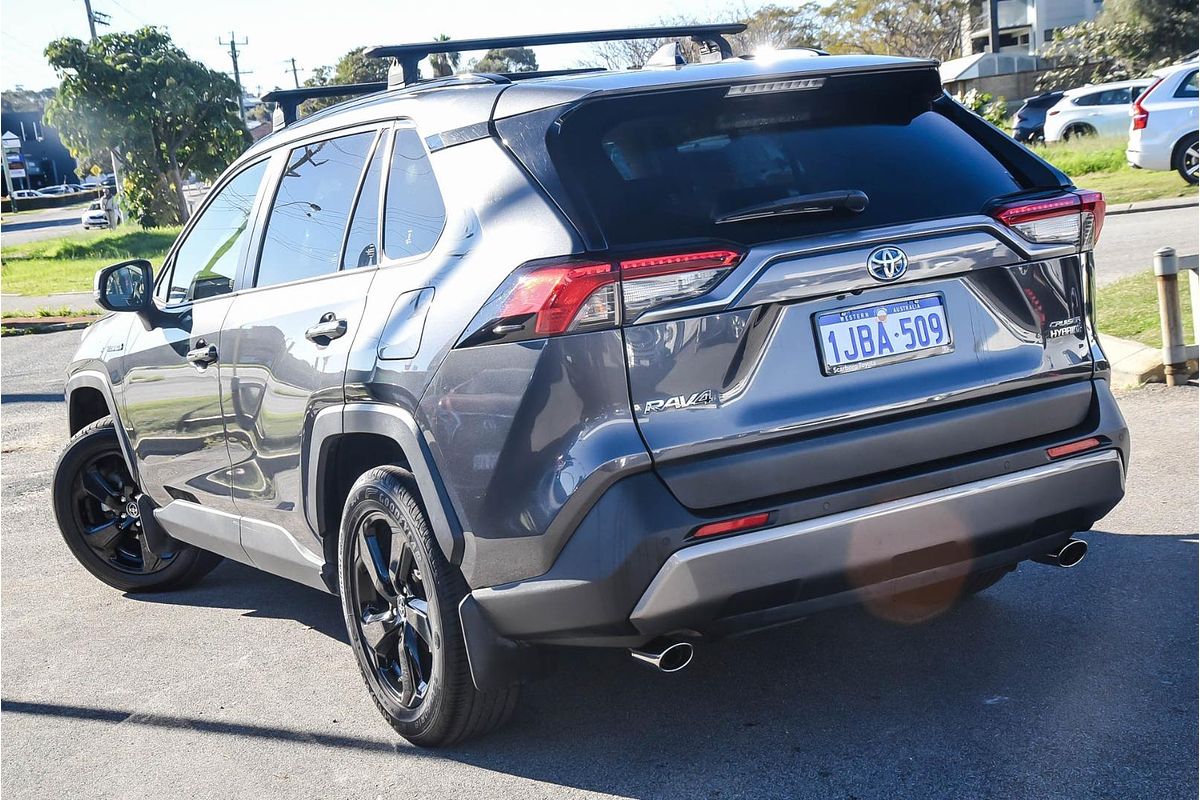 2019 Toyota RAV4 Cruiser AXAH52R