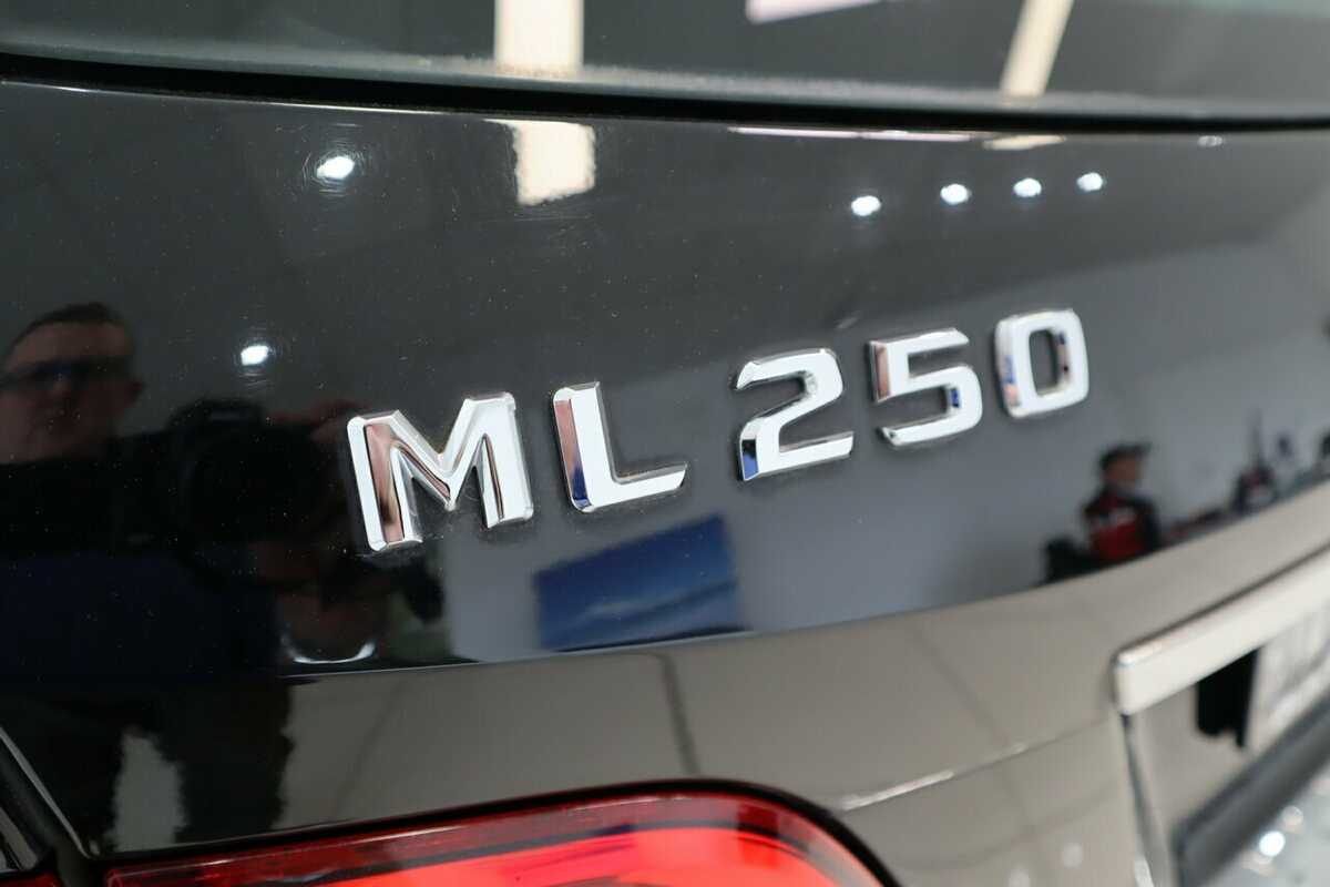 2012 Mercedes Benz M-Class ML250 BlueTEC 7G-Tronic + W166