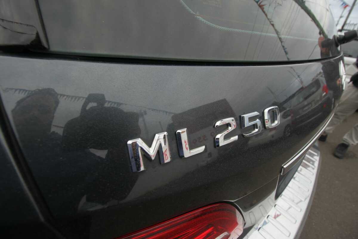2012 Mercedes Benz M-Class ML250 BlueTEC W166