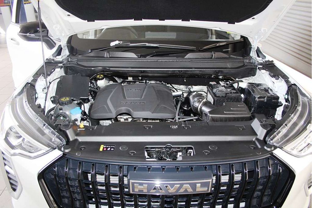 Jolion Facelift Luxury Petrol Auto 4x2