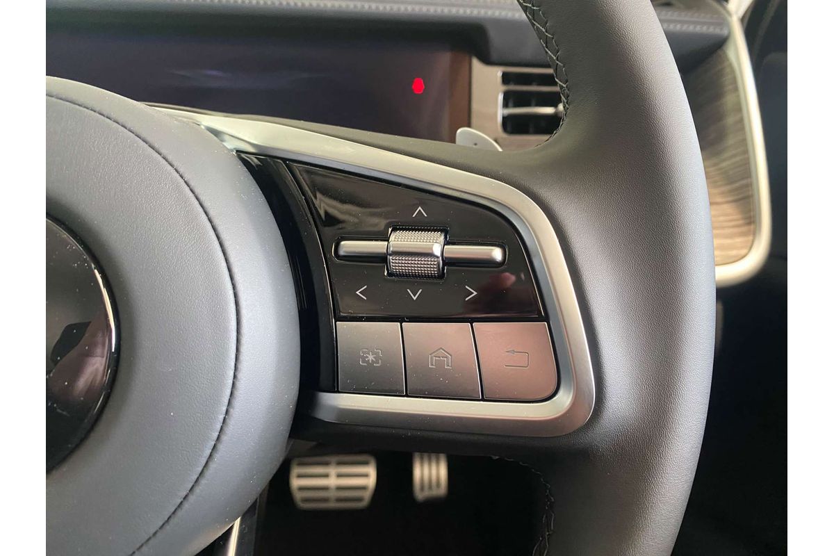 Ute Alpha PHEV Luxury 4x4