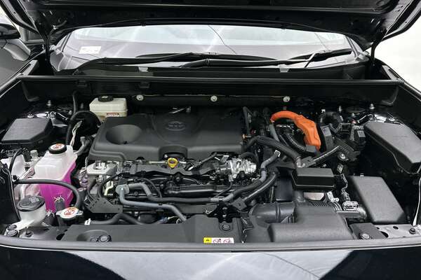 2022 Toyota RAV4 Cruiser AXAH54R