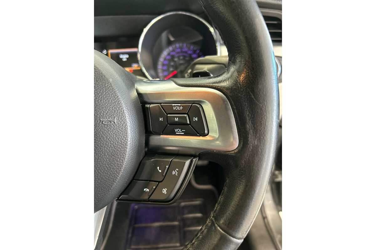 2015 Ford Mustang  FM