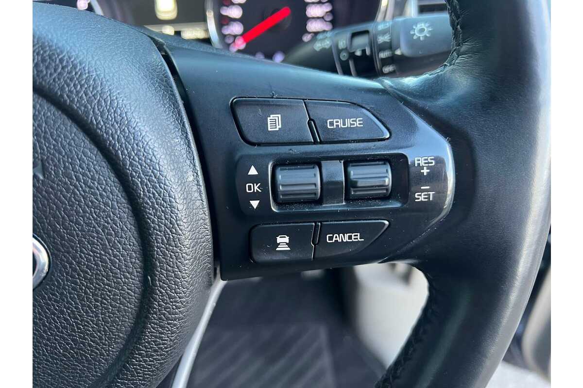 2018 Kia Carnival Platinum YP