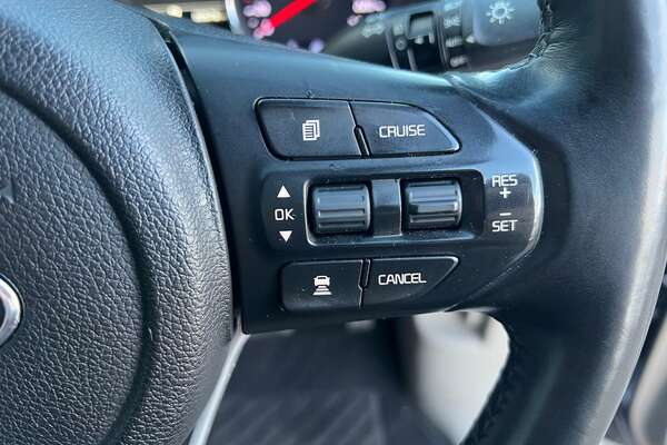 2018 Kia Carnival Platinum YP