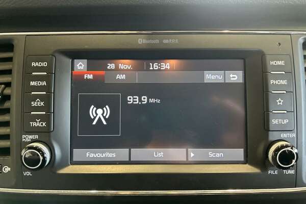 2019 Kia Carnival S YP
