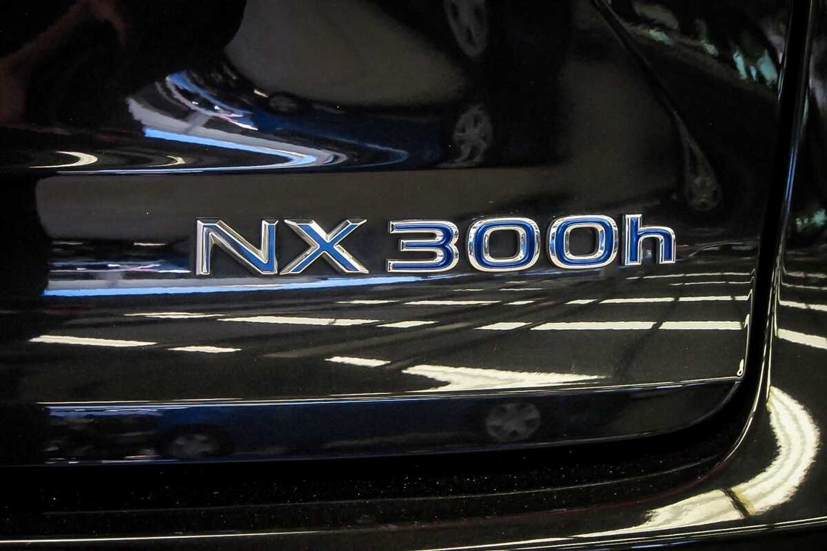 2016 Lexus NX NX300h Luxury AYZ10R