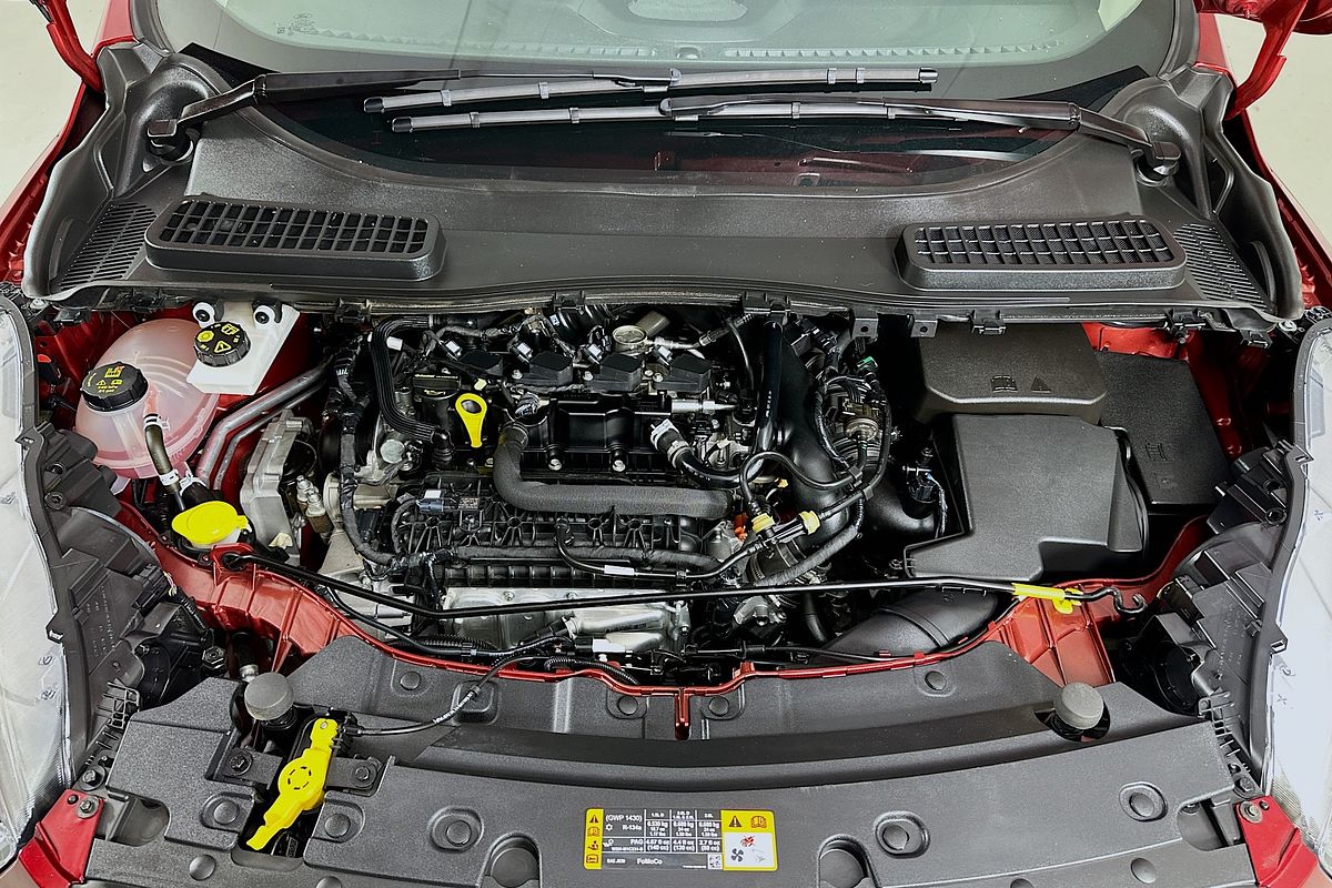 2019 Ford ESCAPE AMBIENTE (FWD) ZG MY19.25