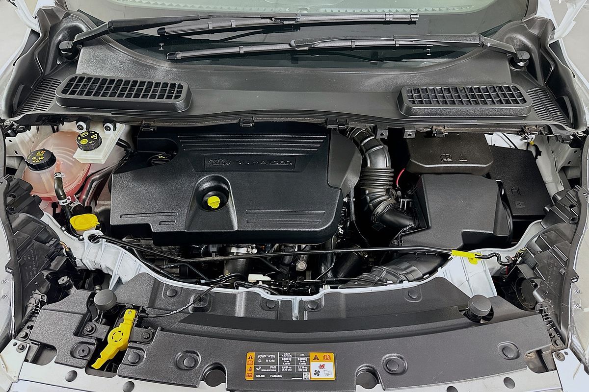 2018 Ford ESCAPE TREND (AWD) ZG MY18