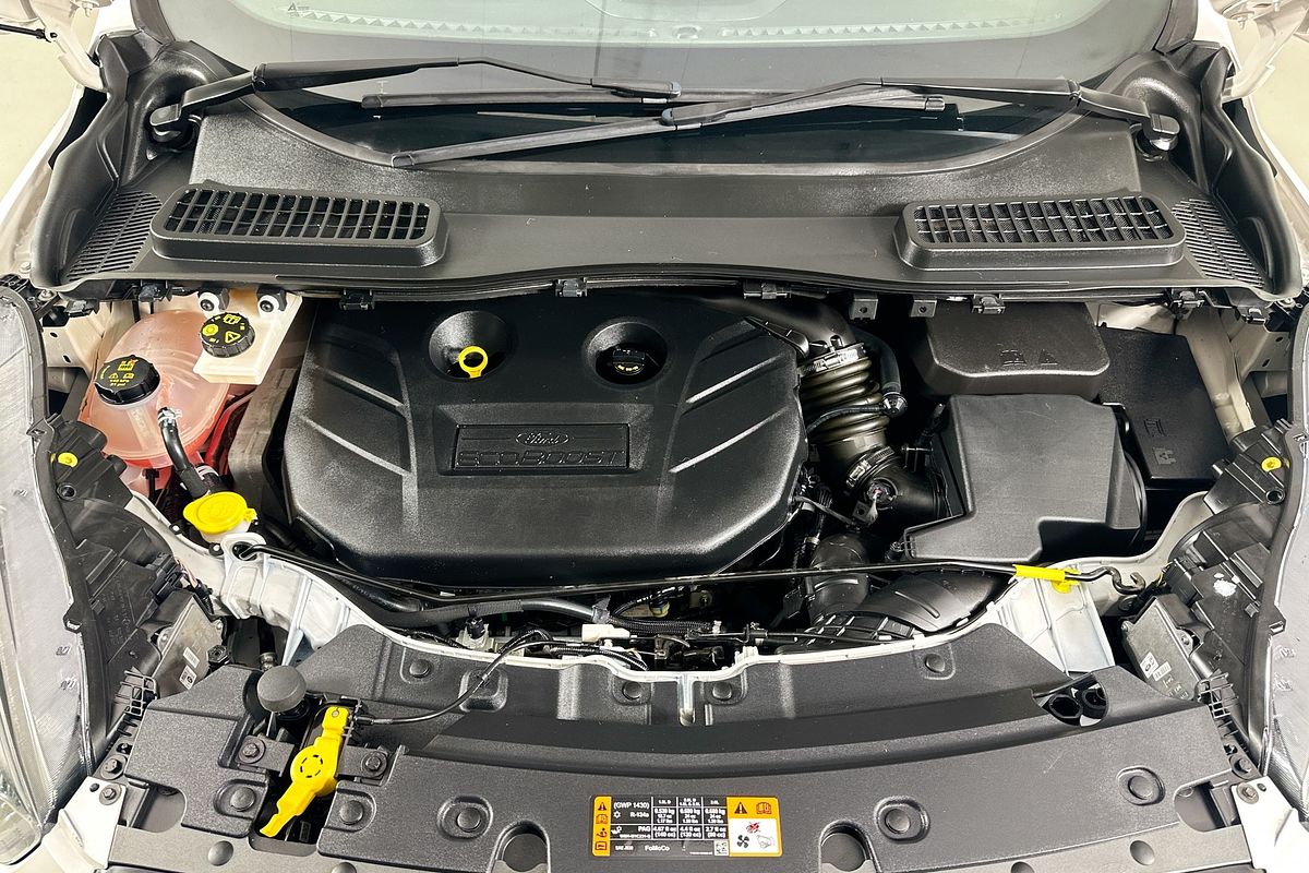 2019 Ford ESCAPE ST-LINE (AWD) ZG MY19.75